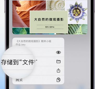 壶关apple维修中心分享iPhone文件应用中存储和找到下载文件