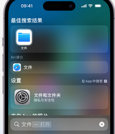 壶关apple维修中心分享iPhone文件应用中存储和找到下载文件 