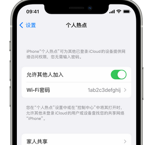 壶关apple服务站点分享iPhone上个人热点丢失了怎么办 