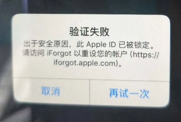 壶关iPhone维修分享iPhone上正常登录或使用AppleID怎么办 