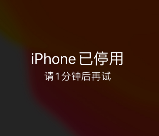 壶关苹果手机维修分享:iPhone 显示“不可用”或“已停用”怎么办？还能保留数据吗？ 