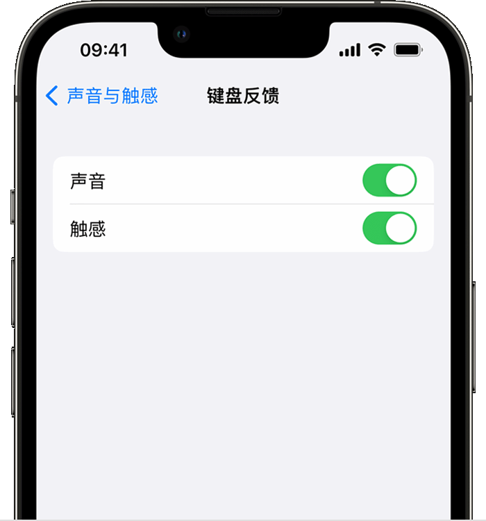 壶关苹果14维修店分享如何在 iPhone 14 机型中使用触感键盘 