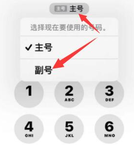 壶关苹果14维修店分享iPhone 14 Pro Max使用副卡打电话的方法 