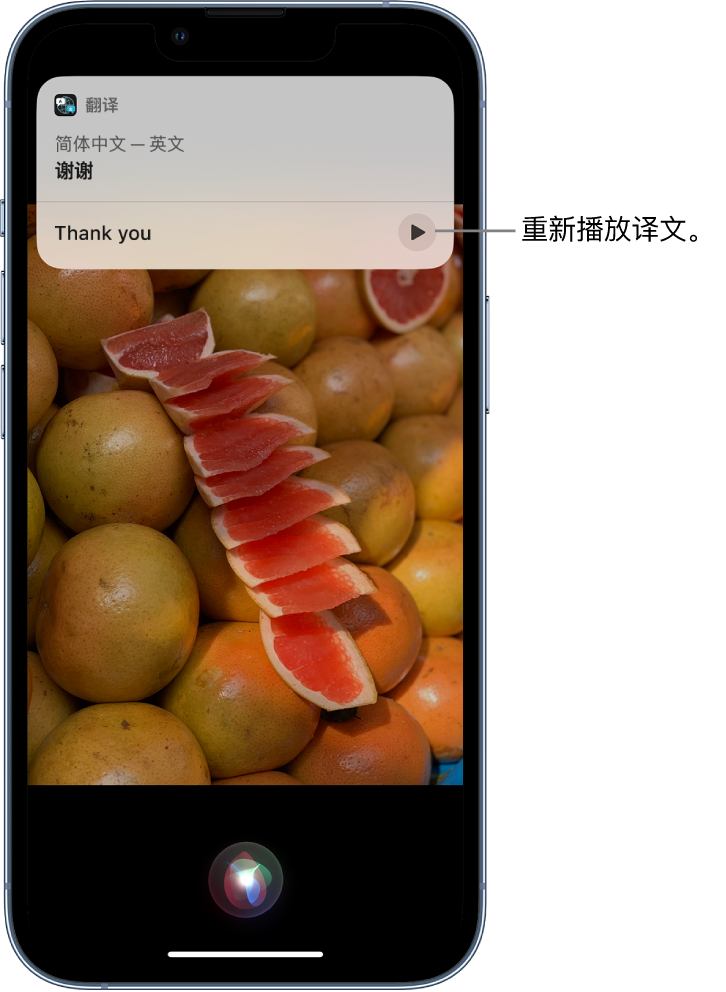 壶关苹果14维修分享 iPhone 14 机型中使用 Siri：了解 Siri 能帮你做什么 