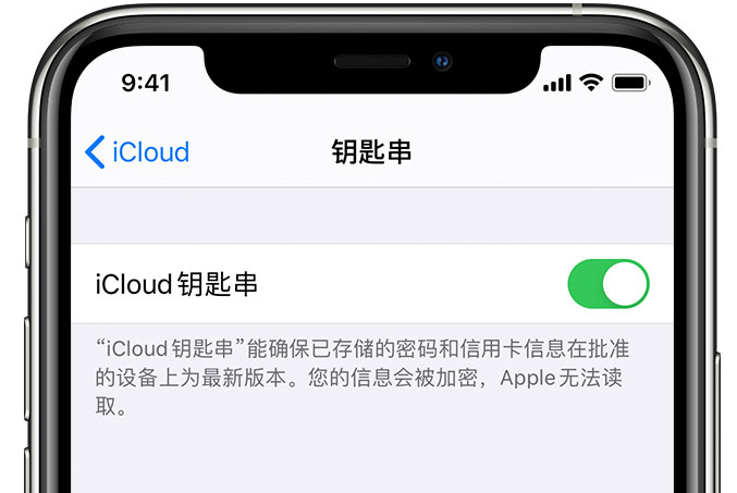 壶关苹果手机维修分享在 iPhone 上开启 iCloud 钥匙串之后会储存哪些信息 